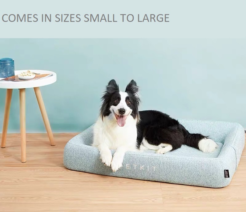 border collie bed size