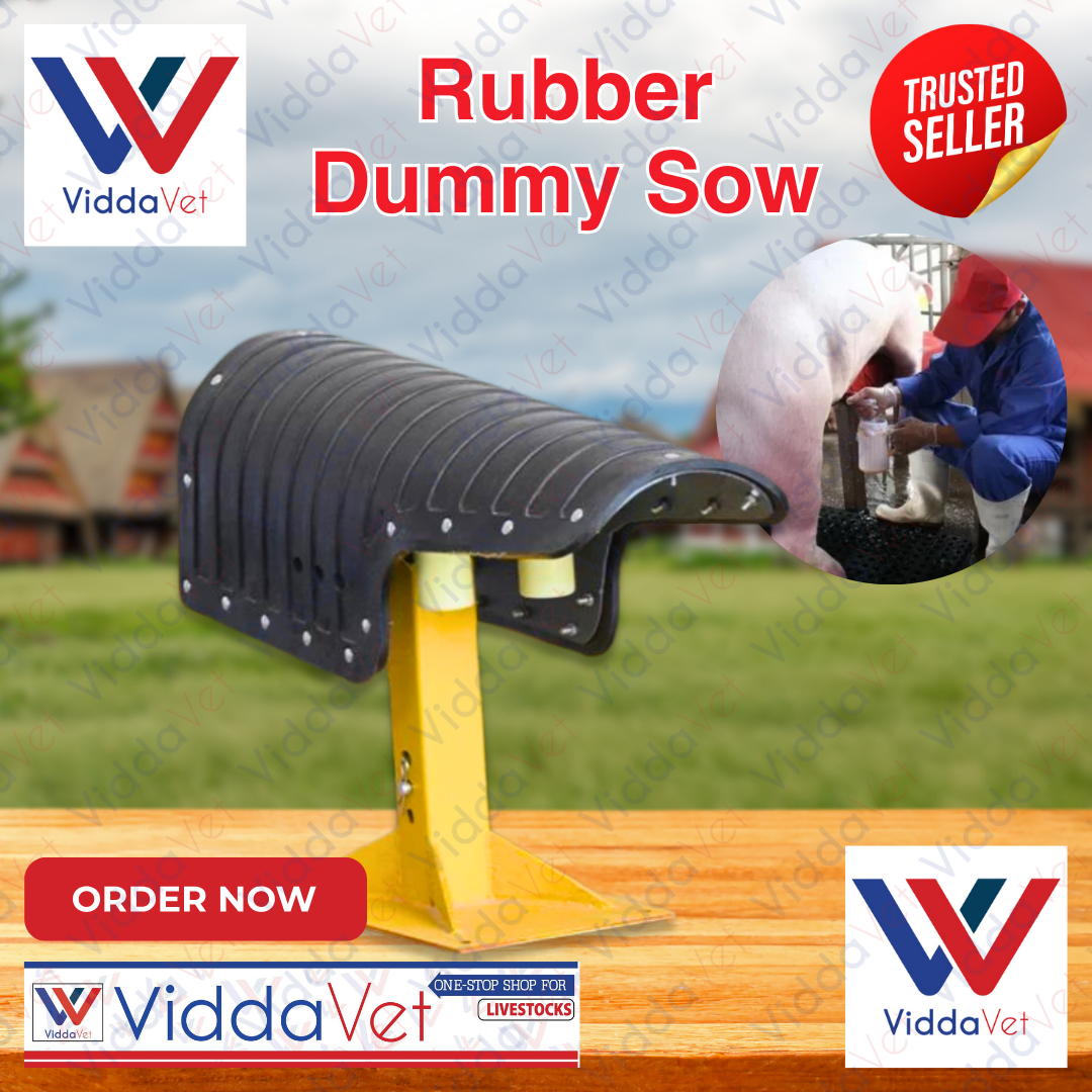 Viddavet Rubber Dummy sow for pig boar animal artificial insemination ...