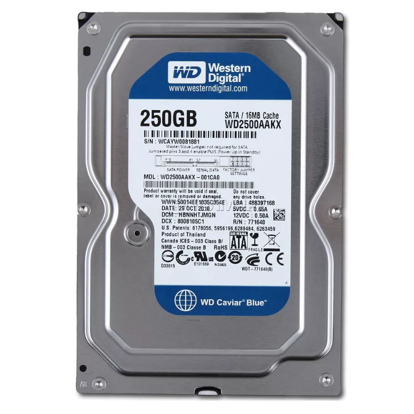 Ổ cứng wd 250gb / 500gb / 1tb,hdd western blue/purple dùng cho máy tính để bàn, ổ cứng camera . bảo hành 2 năm.