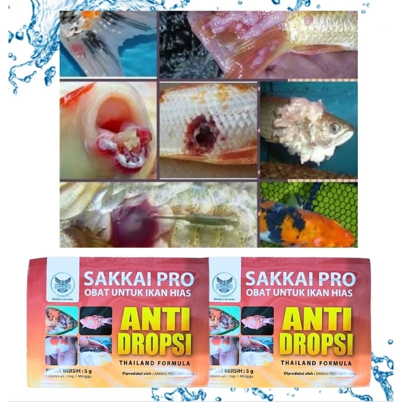 Obat ikan anti jamur bakteri SAKKAI PRO ANTI DROPSI 5GR