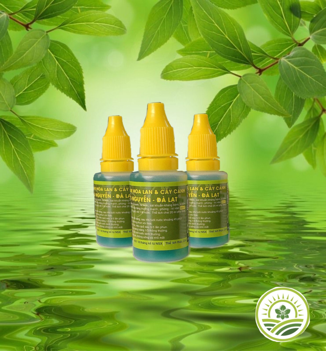 Combo kích ki cho Phong lan 7 sản phẩm