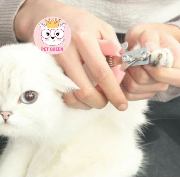 Kềm cắt móng Chó Mèo thú cưng nhỏ - GROOMING TOOL
