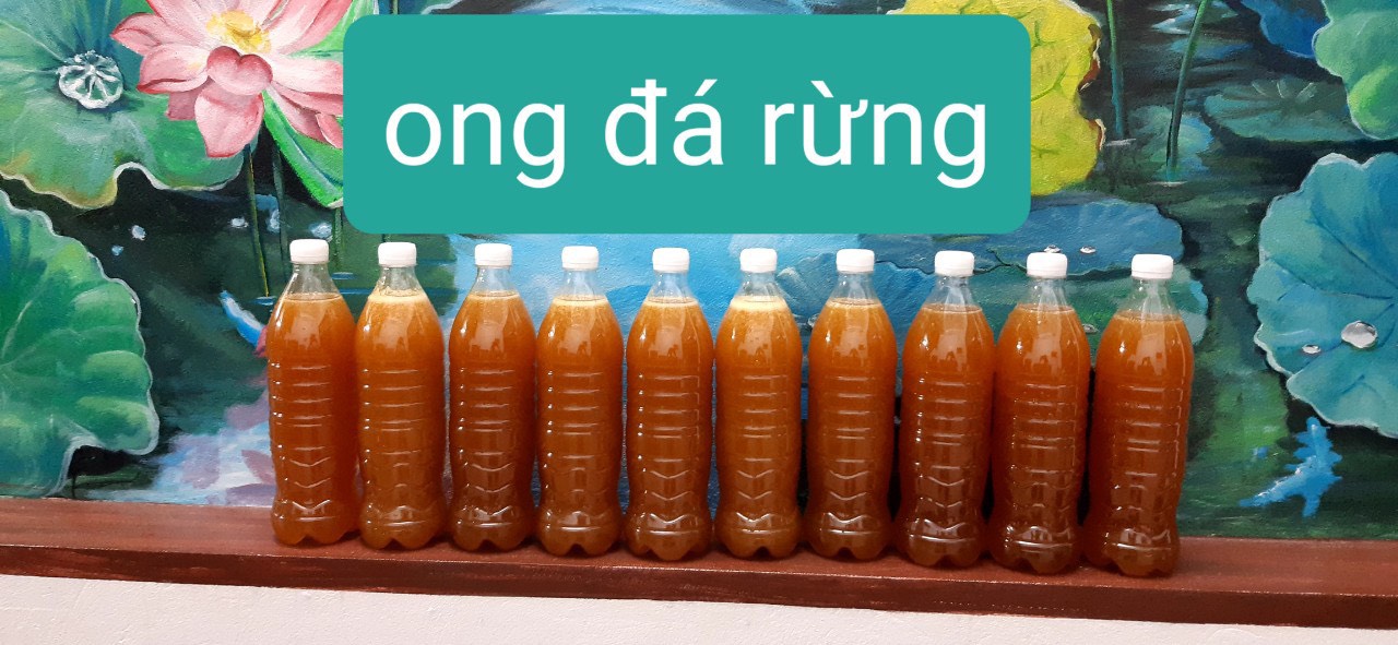 [0.5 lit] Mật ong đá rừng hàng chuẩn 100%