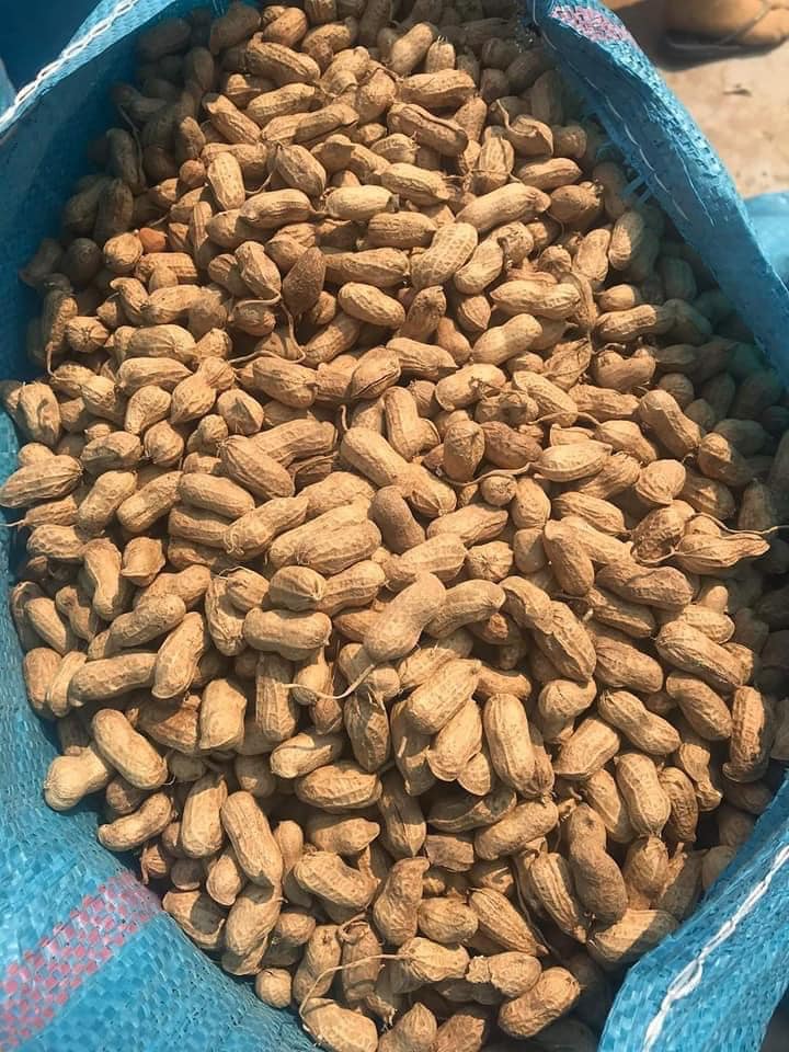Dầu Phụng Nguyên Chất_Quảng Ngãi