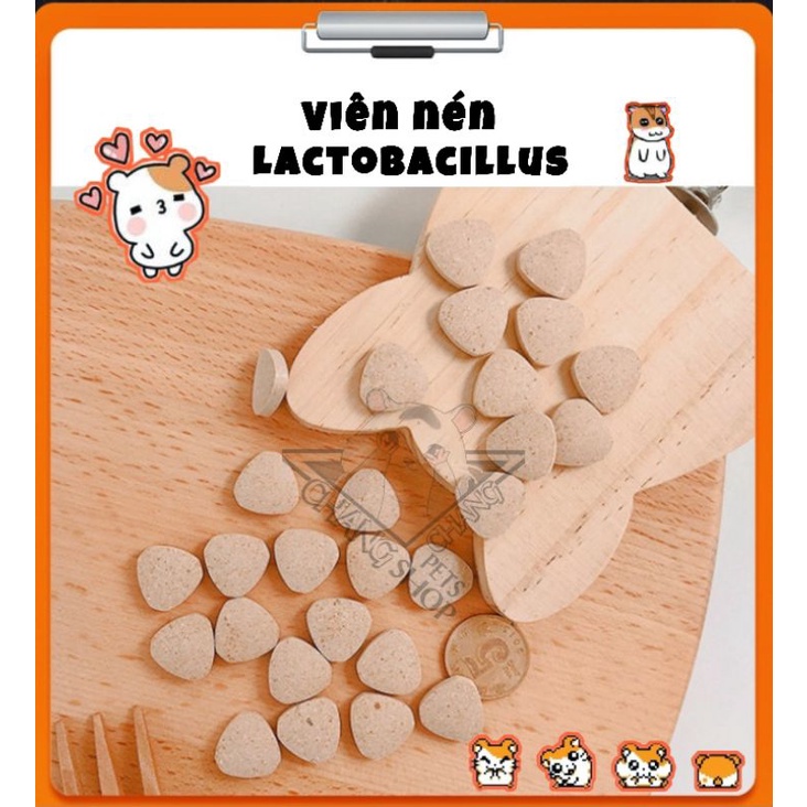 1 viên vitamin nén Lactobacillus