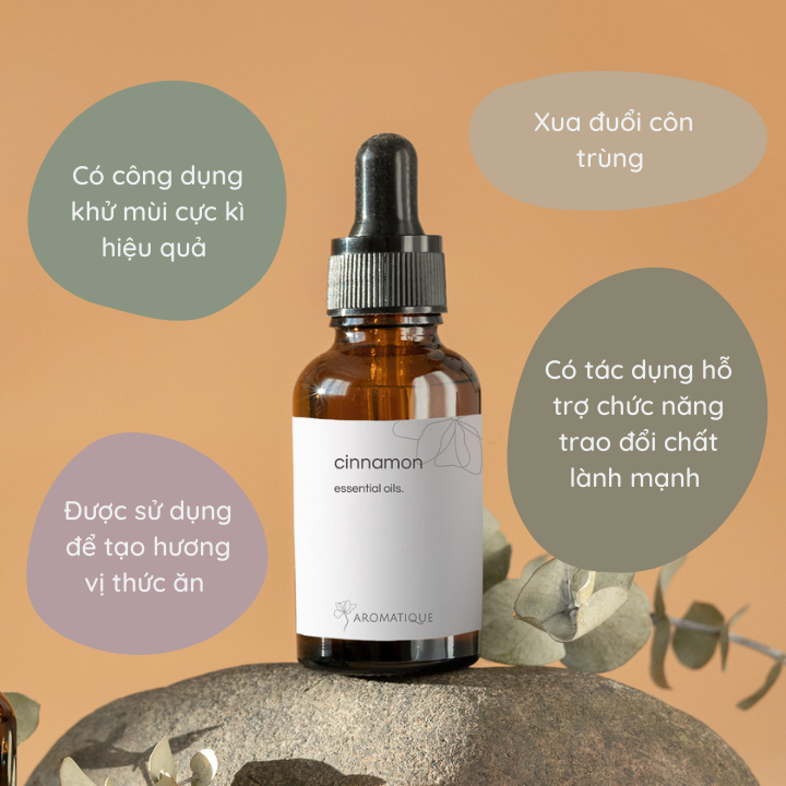 Tinh Dầu Quế Cinnamon Tự Nhiên Nguyên Chất xông thơm phòng, massage thư giãn, Chai 10ml