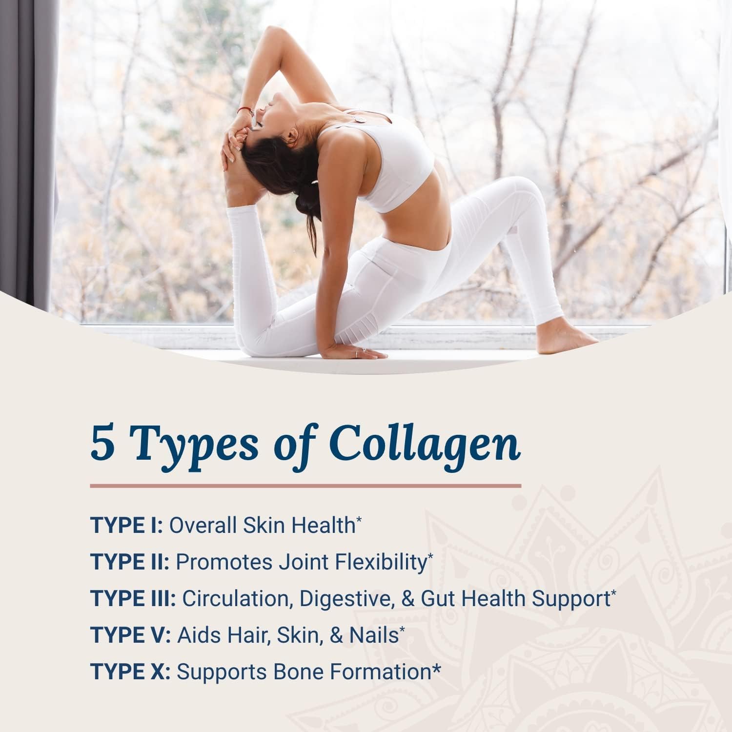 Live%20Conscious%20Beyond%20Collagen%20Multi%20Collagen%20Powder%20for%20Women%20w/Types%20I,%20II,%20III,%20V%20&%20X%20-%20Keto%20Friendly,%20Hydrolyzed%20Collagen%20Peptides%20Powder%20Blend%20w/Biotin%20&%20Vitamin%20C%2041%20Servings%20427gm%20-%20Image%203