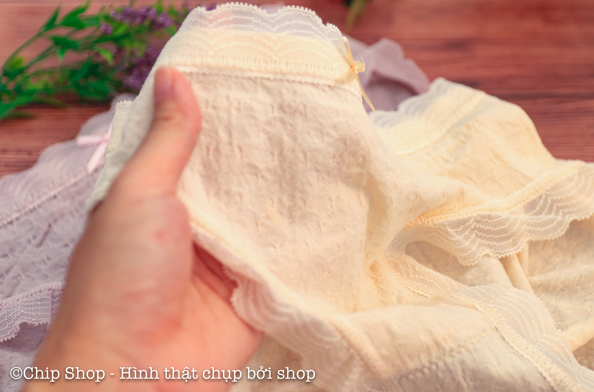 Quần Chíp Nữ, Quan lot nu cotton đẹp
