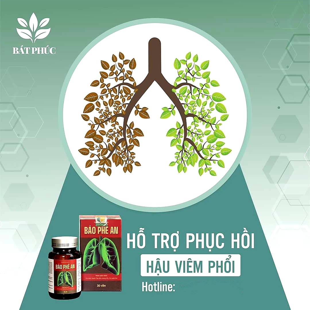 Viên Uống Bảo Phế An