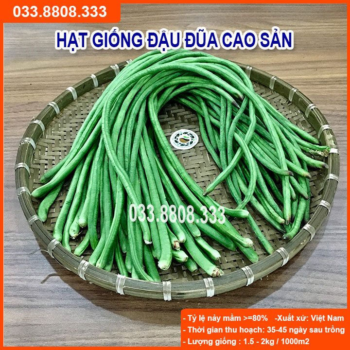 Hạt giống đậu đũa 20gram -năng suất cao