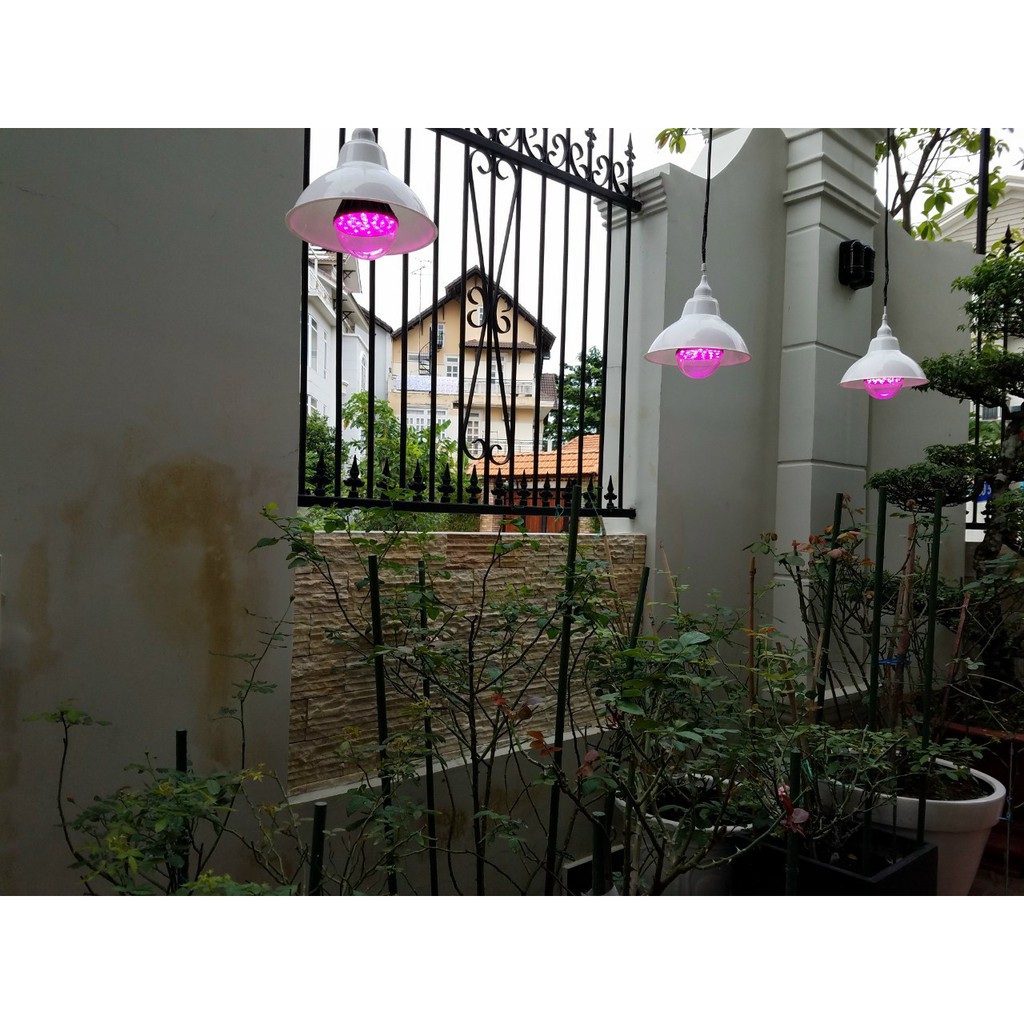Đèn Cho Hoa Thế Hệ Mới 20W - Zako