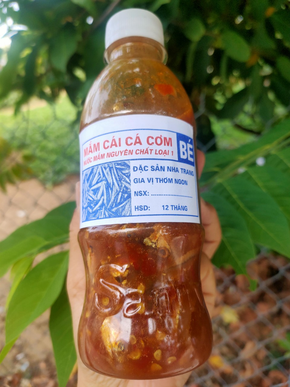 Mắm nêm, mắm cái Nha Trang