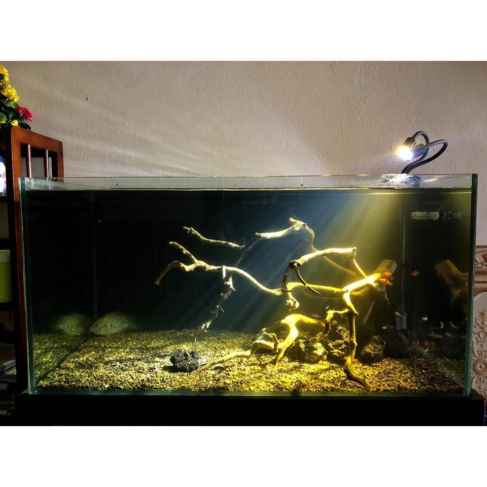 ĐÈN LED RỌI BIOTOP CHO HỒ CÁ THỦY SINH