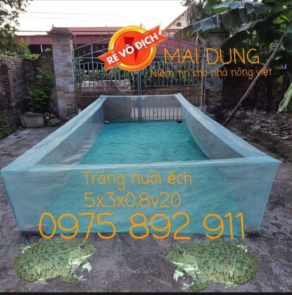 Lồng nuôi ếch chuyên nghiệp