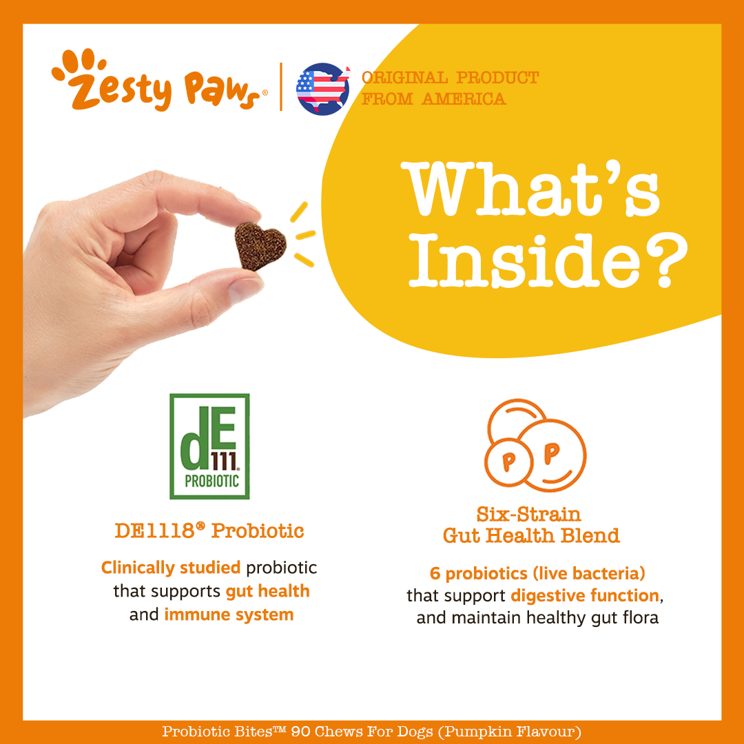 Zesty Paws Probiotic Bites Vị Bí Ngô 90ct