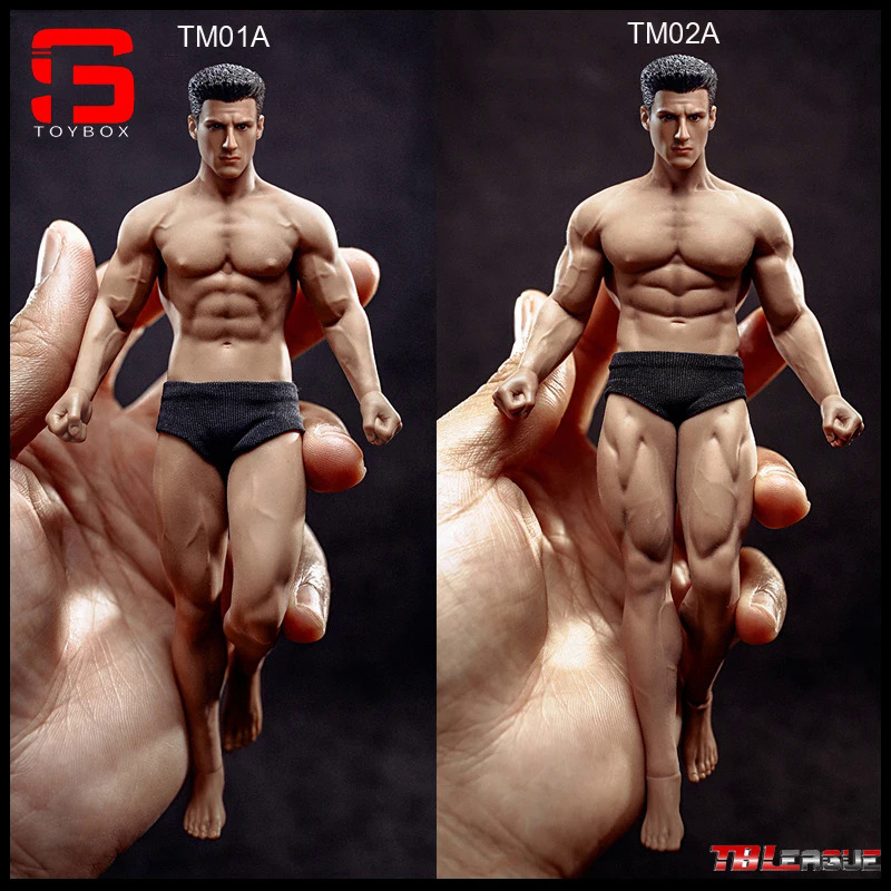 TBLeague Phicen TM01A TM02A 112 Male Suntan Seamless Body with Head Sculpt 6''  Man Super Flexible Action Figure Model