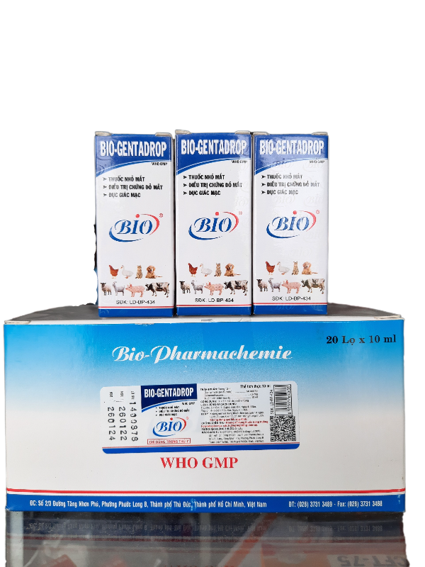 Combo 3 lọ Bio Gentadrop thuốc nhỏ mắt thú cưng