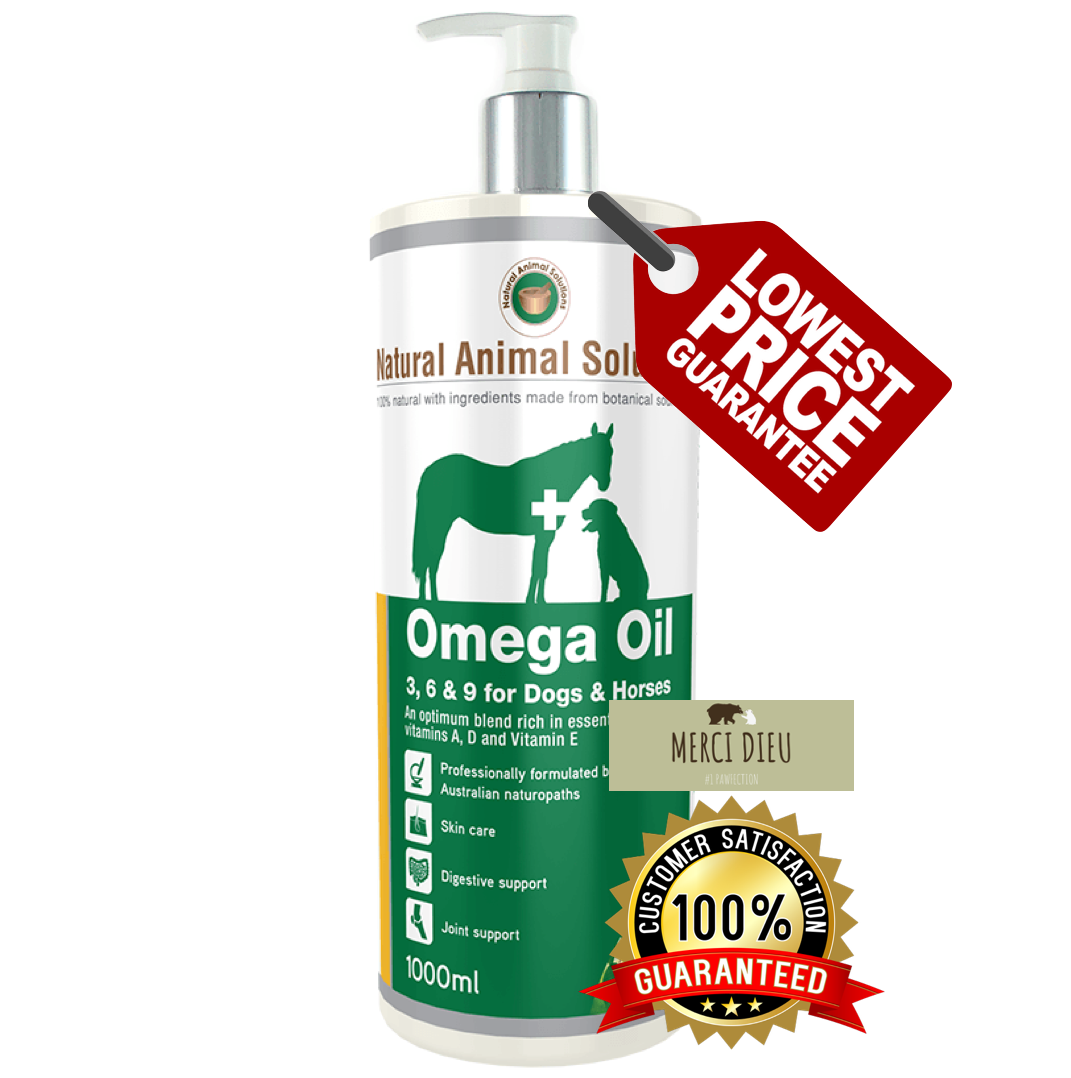 dog omega oil