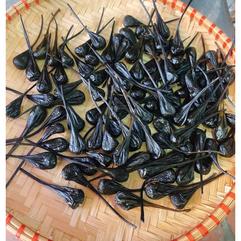 [CHÍNH HÃNG] Mật Kì Đà Chuẩn Rừng Lai Châu (Tây Bắc Shop)
