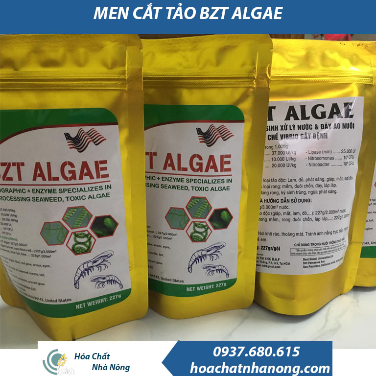 Combo Men vi sinh cắt tảo BZT ALGAE