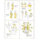 Point Character Drawing Vol.2 by Taco(2 books) - How to Draw body and face Tutorial book. 