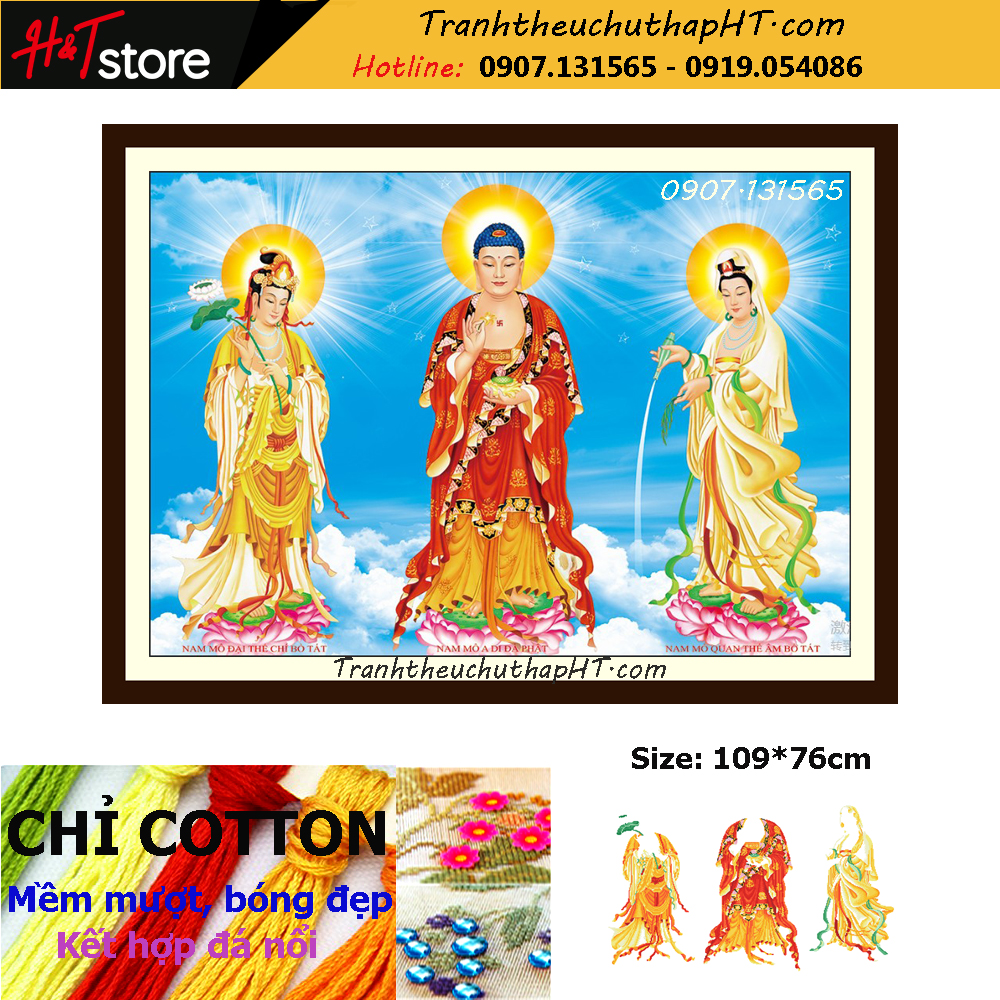 [HCM]Tranh thêu chữ thập Tây Phương Cực Lạc Thánh Chúng 113*63cm, tranh đính đá 136*75cm - tự thêu