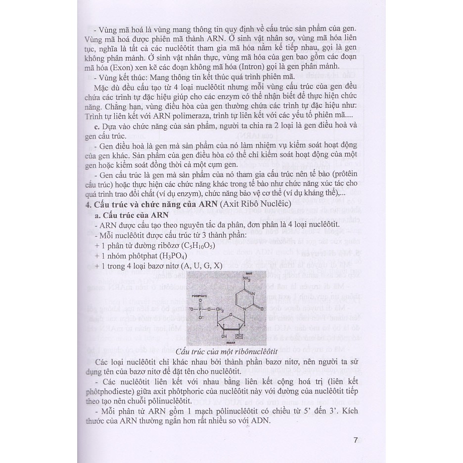 Bồi Dưỡng Học Sinh Giỏi Sinh Học 12