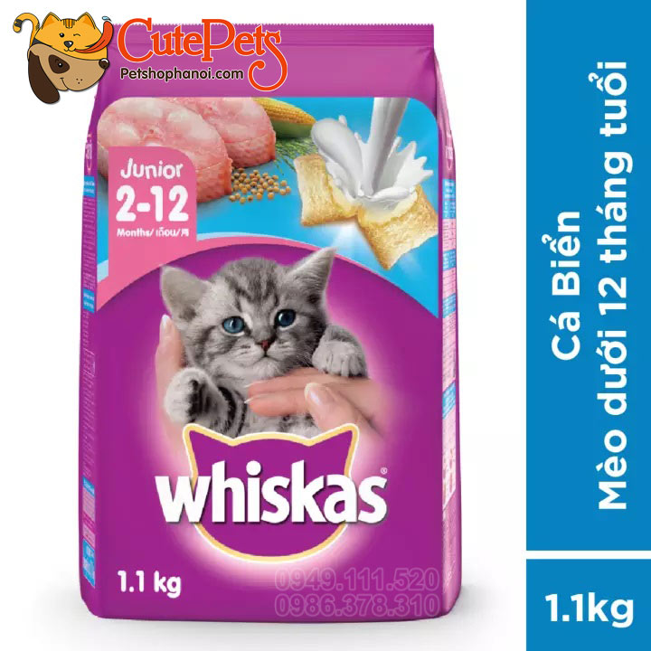 Thức ăn hạt mèo con Whiskas Junior