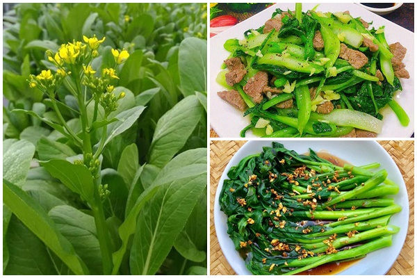 (Gói 20g)Hạt giống rau cải ngồng F1
