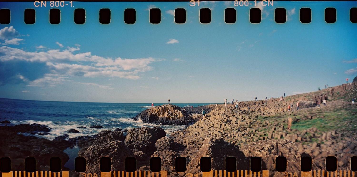 lomography 800 color print film