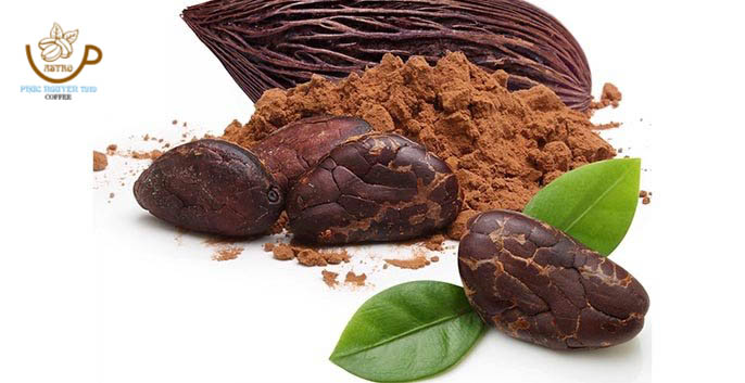 (Freeship) Gói 25 gram Bột Ca Cao Nguyên Chất (Astro CoCoa Powder)