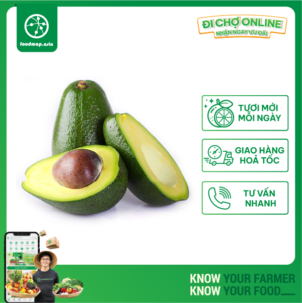 Bơ 034 Béo Thơm - Túi 1kg (3-4 Trái) - Foodmap Fruit