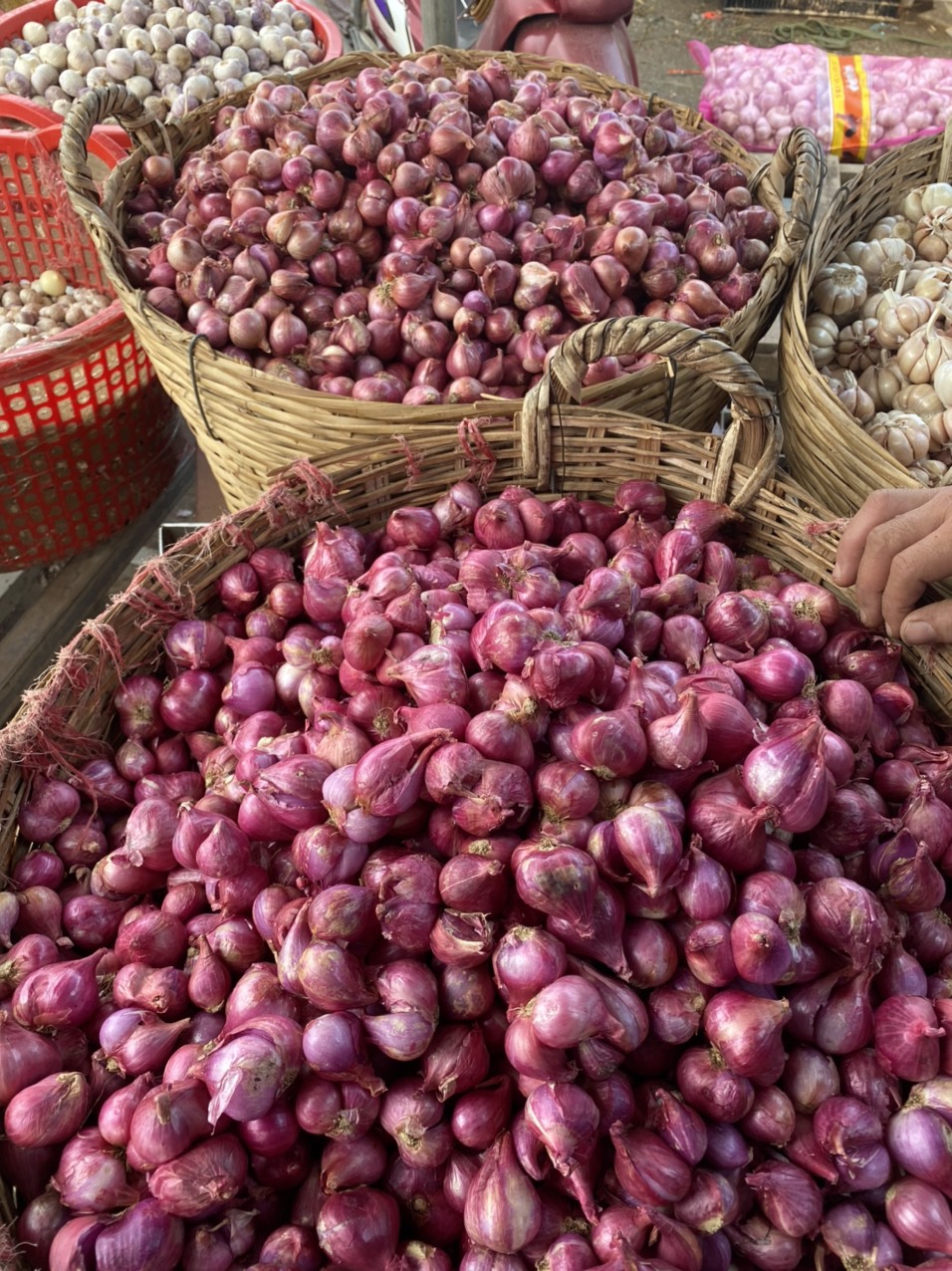 (miễn phí vận chuyển)Hành tím Khô , củ to chắc đều