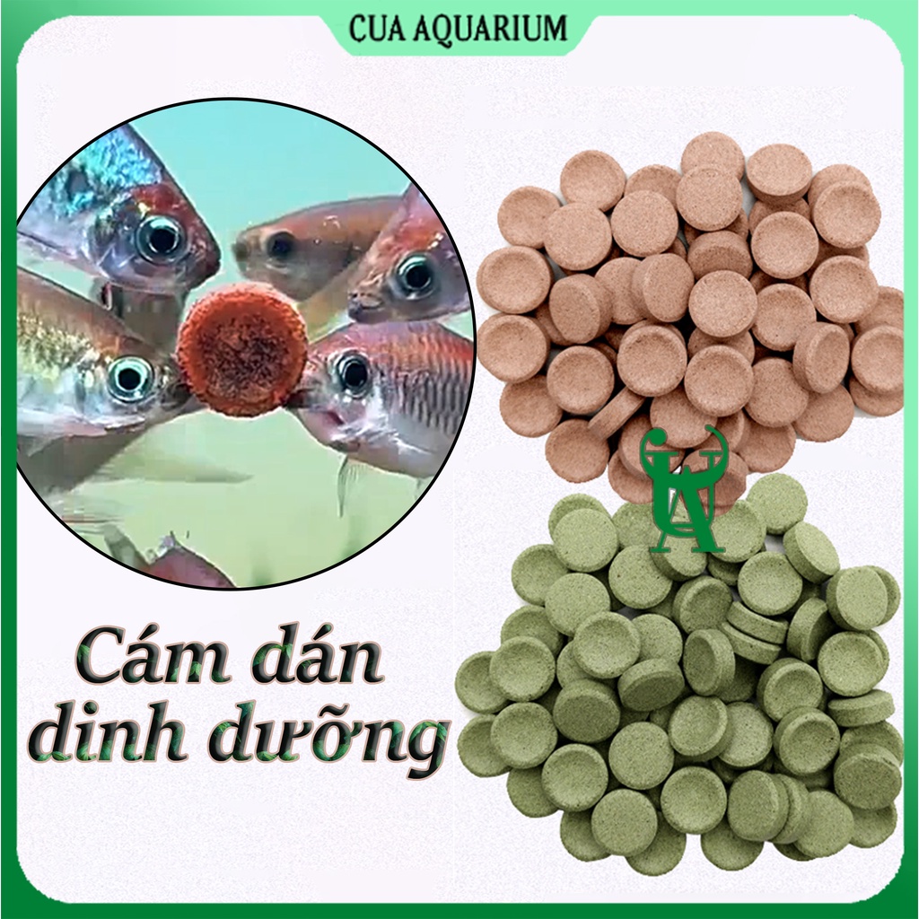Thức ăn cám dán kính bể cho cá cảnh thuỷ sinh, 7 màu