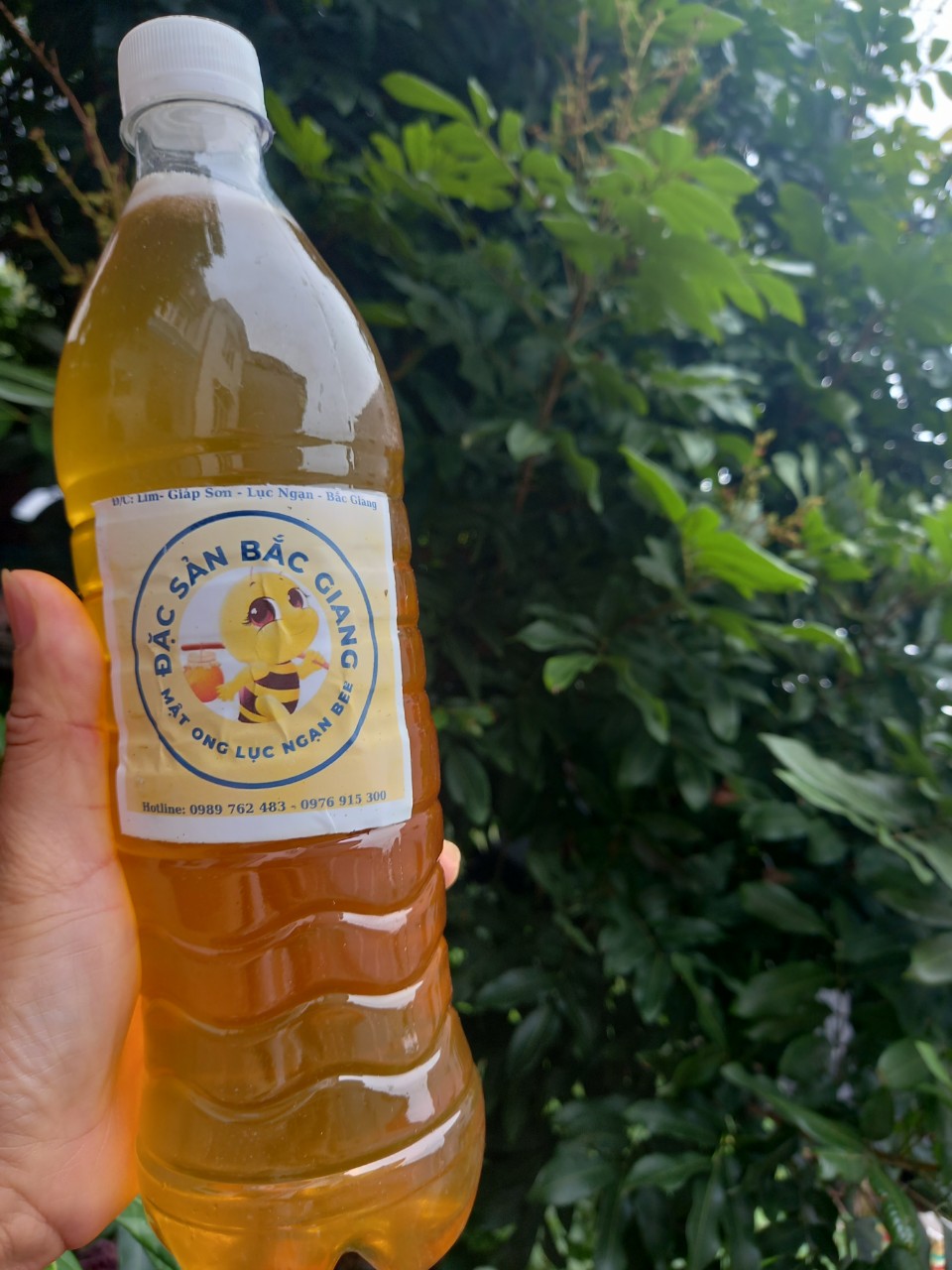 Mật ong hoa vải thiều nguyên chất