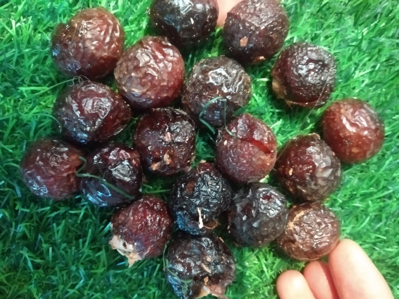 Quả bồ hòn chưa tách hạt Huna'shome 1 Kg