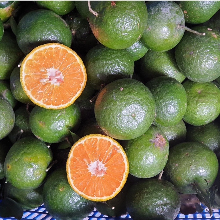 (HN) Cam Sành Mọng Nước Bổ Dưỡng - Giao Hỏa Tốc 1h