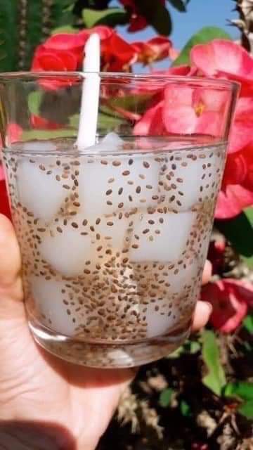 1Kg Thạch Dừa Thái Lan Đặc Biệt