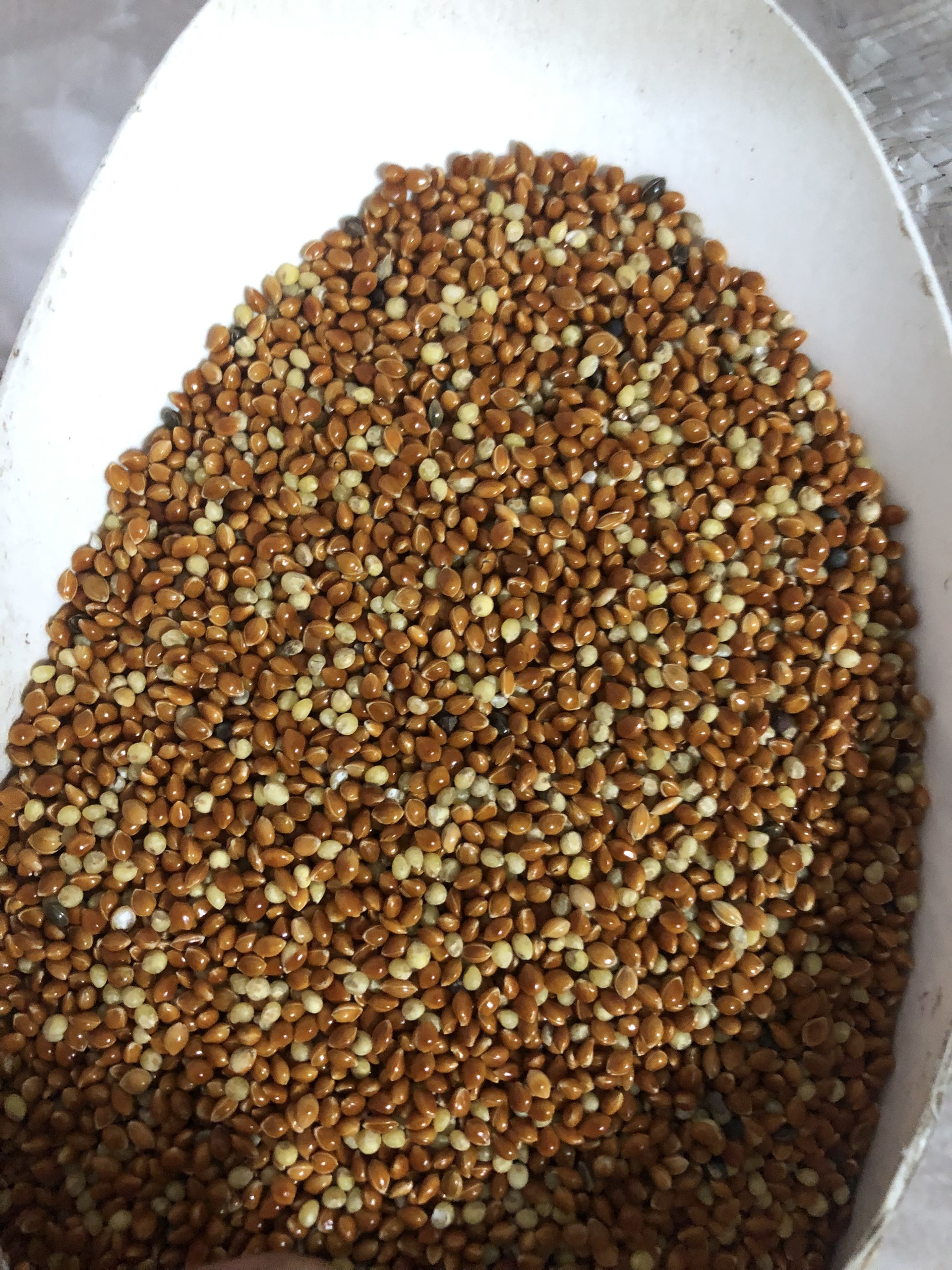 Kê đỏ bóng hạt to đóng gói 1kg