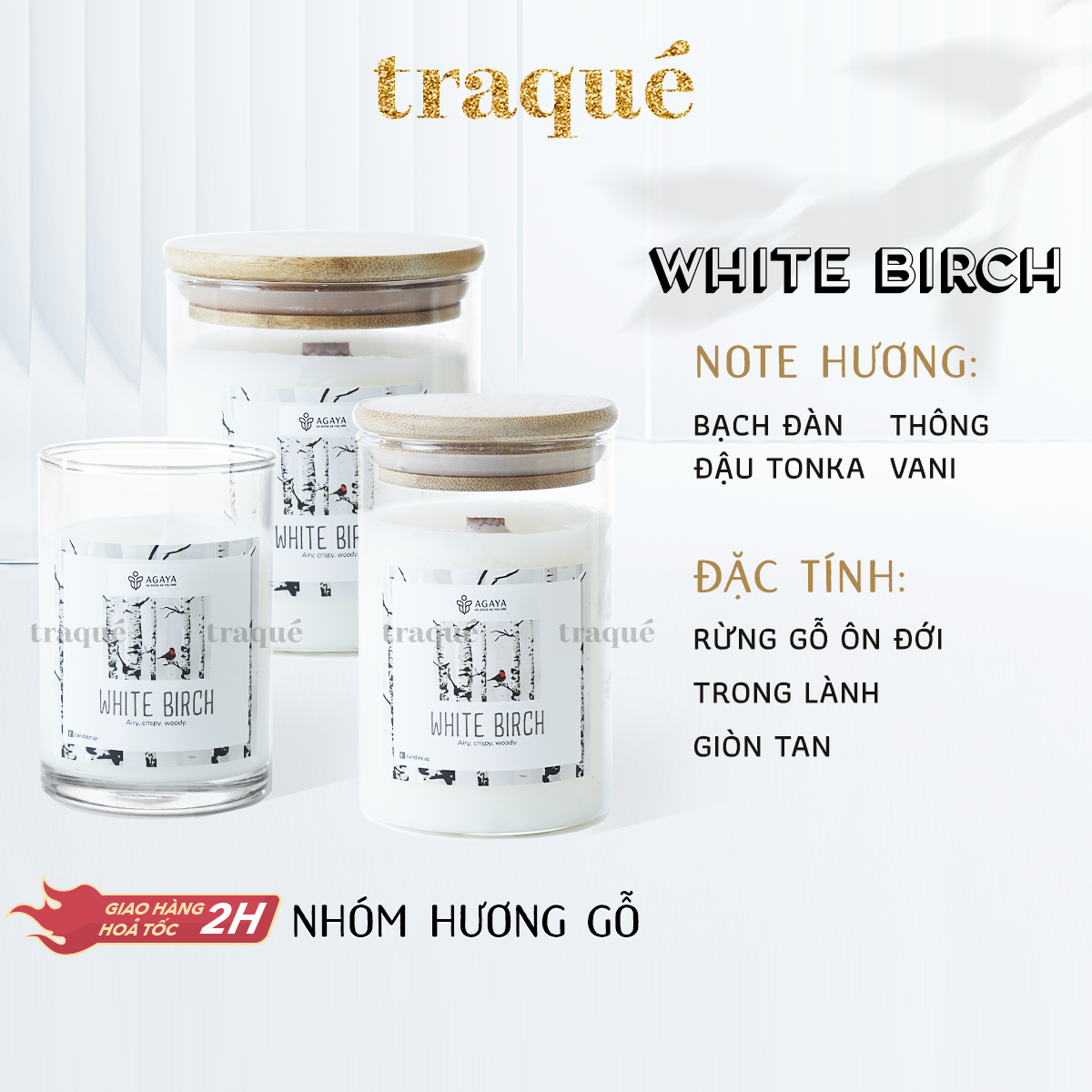 Nến thơm Agaya/Candle Cup - Hương Gỗ WHITE BIRCH