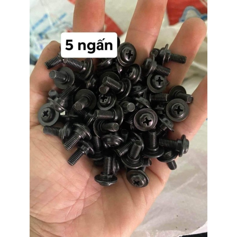 ốc 5ly bắt bợ cổ (10 con) (loại xịn)