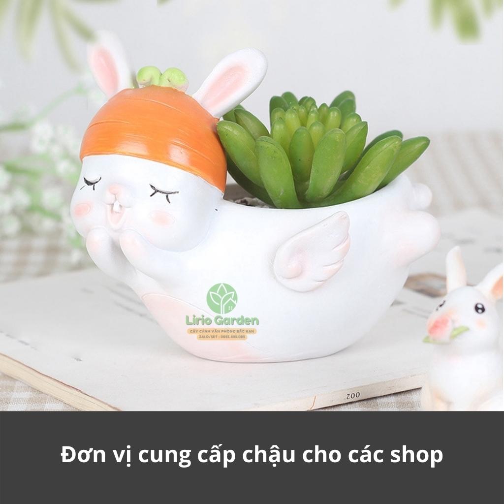 chậu trồng cây hình thỏ trắng có cánh [ tặng kèm đất trồng cây ]