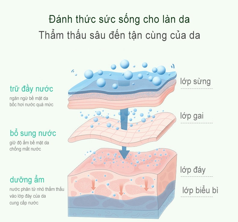 gel lô hội