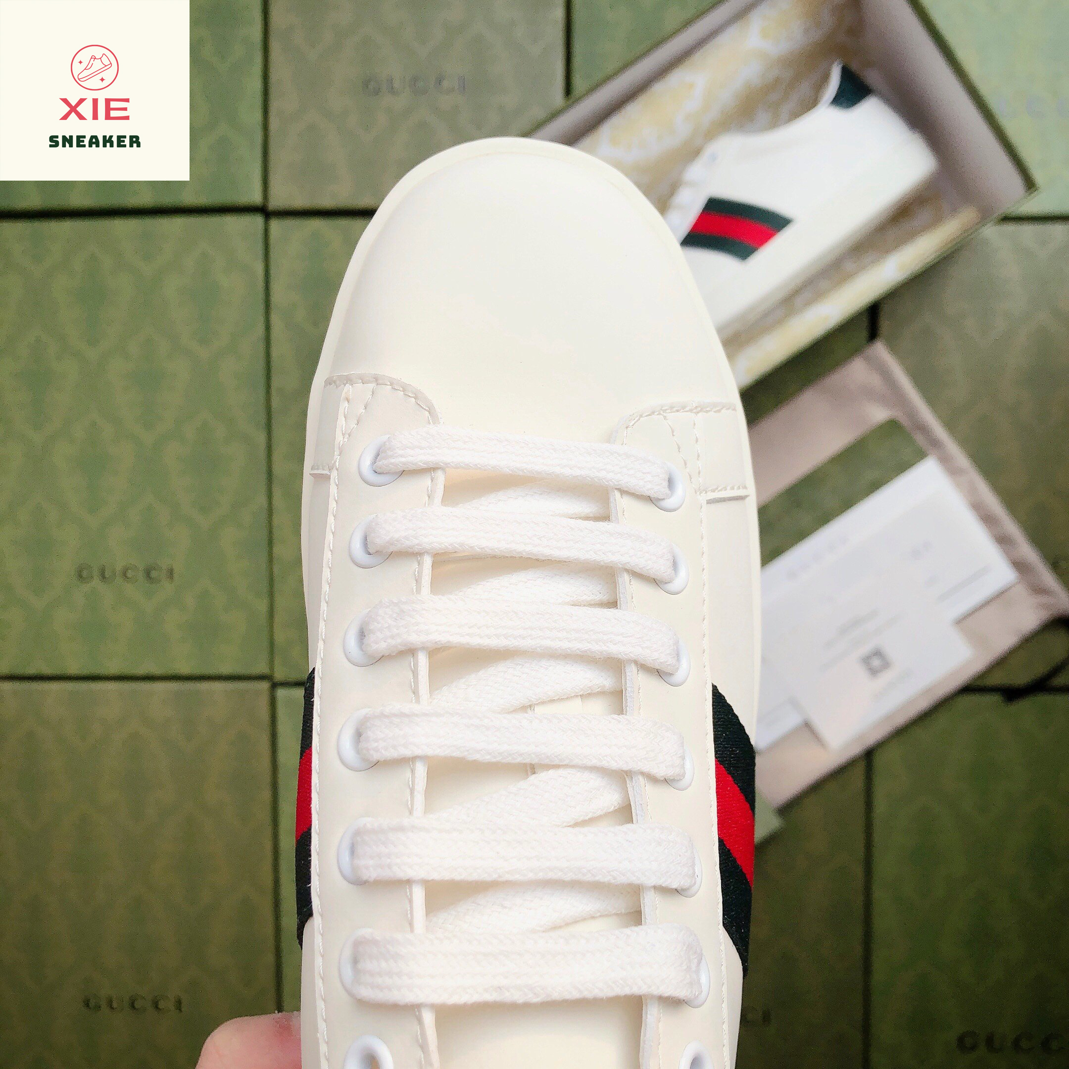 Giày Gucci ACE Trơn - 1.1 + [Tặng thêm 1 bộ dây + FreeShip + Full Box + Bill + Phụ Kiện]