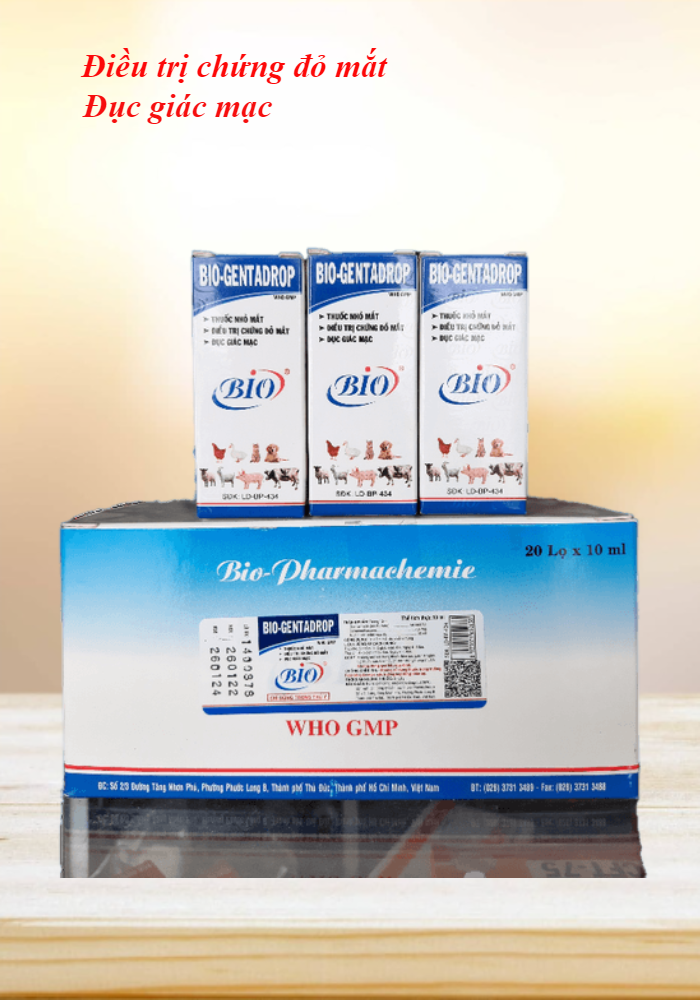 Combo 3 lọ Bio Gentadrop thuốc nhỏ mắt thú cưng