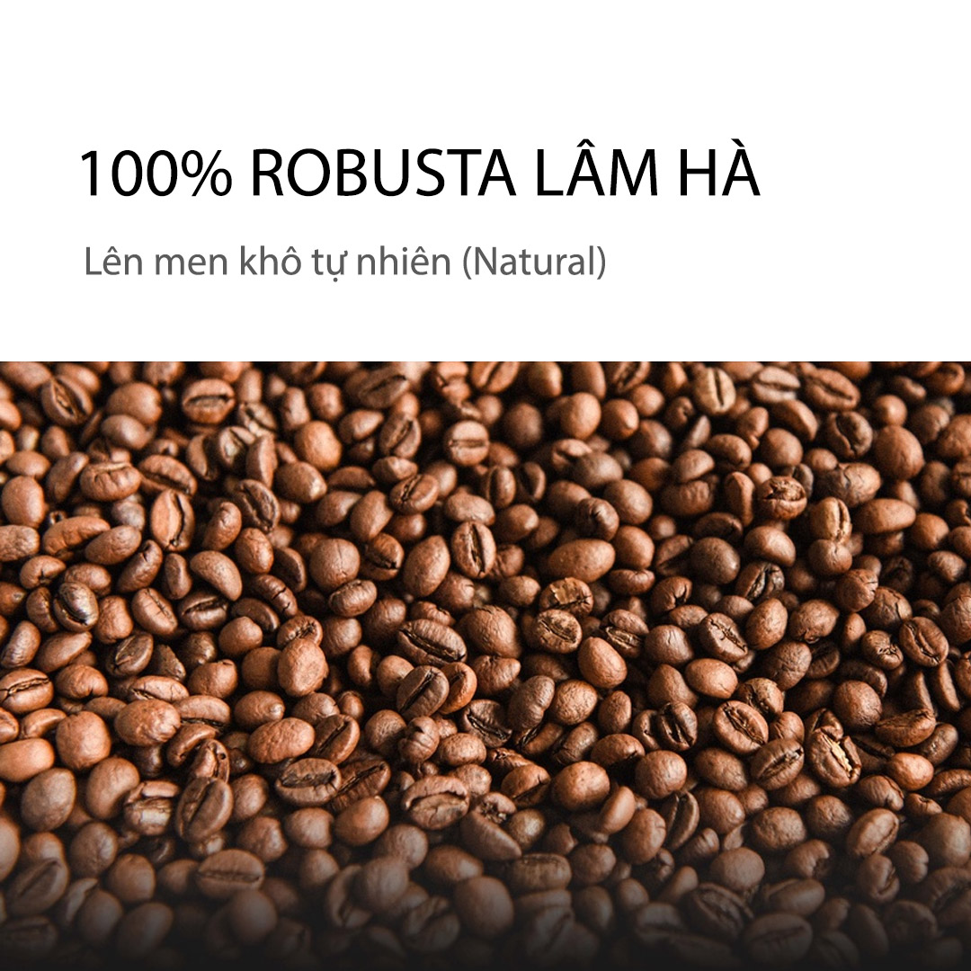 Cà phê phin mộc Robusta giống cũ (Lâm Hà, Lâm Đồng)