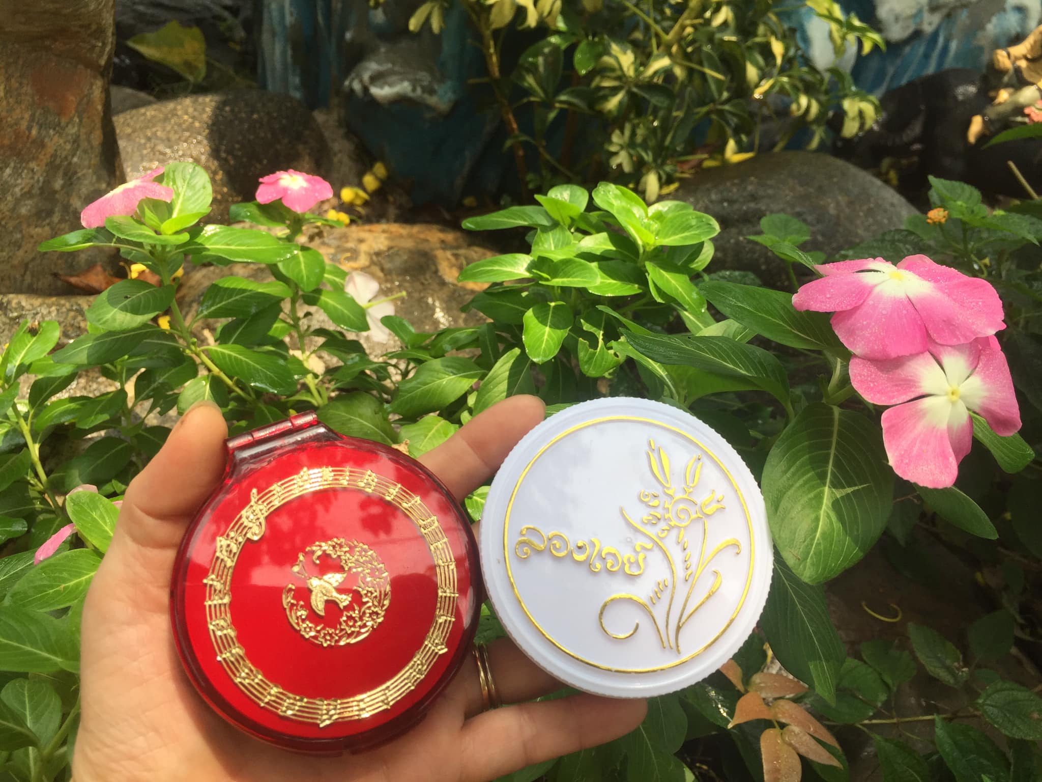 Phấn phủ trang điểm Thái Lan con chim Én 15 g