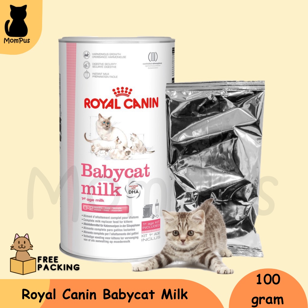 Royal Canin Baby Cat Milk 100gr Susu Bayi Anak KUCING Lazada