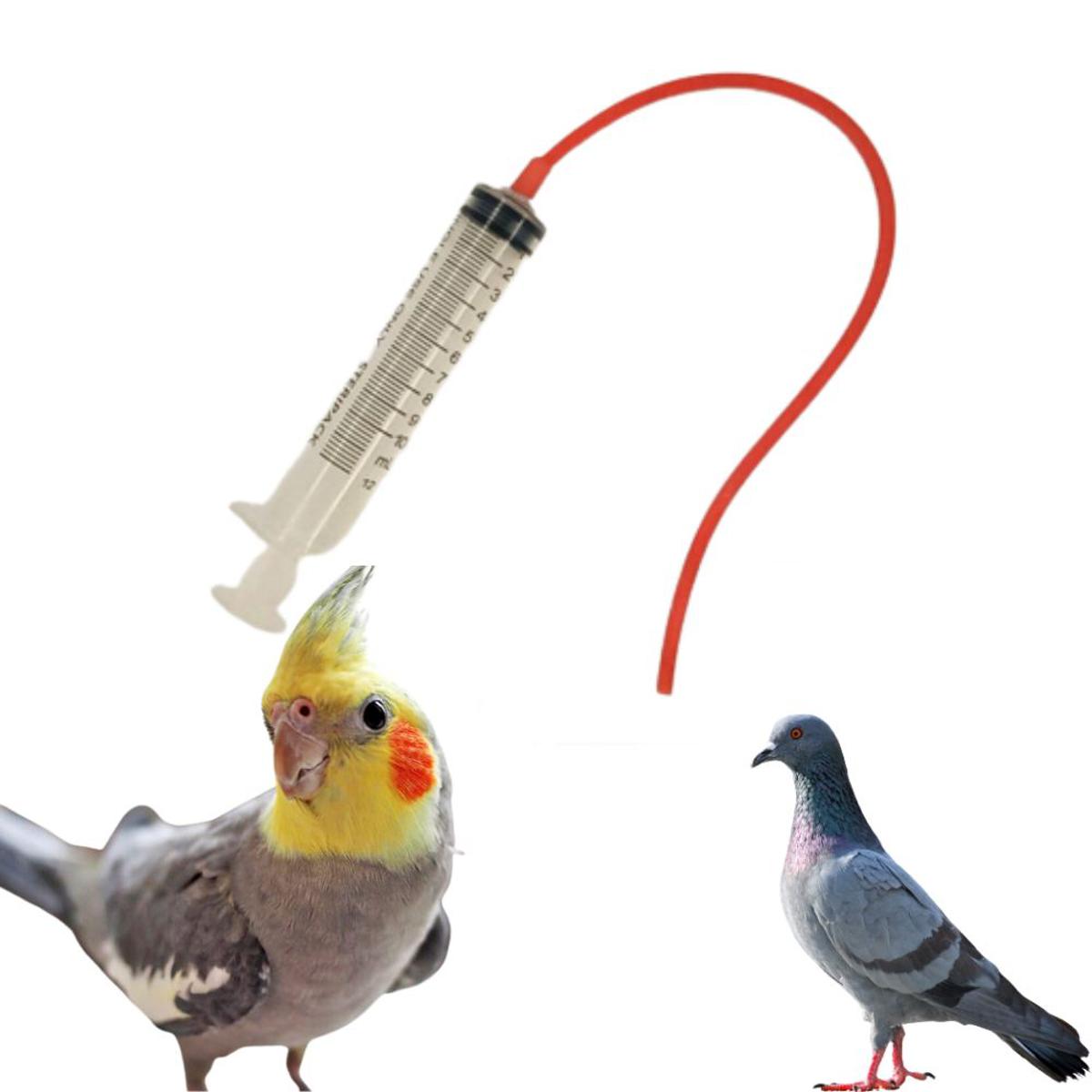 10ml Baby Bird Cockatiel Budgie Parrot Pet Hand Rearing Feeding ...