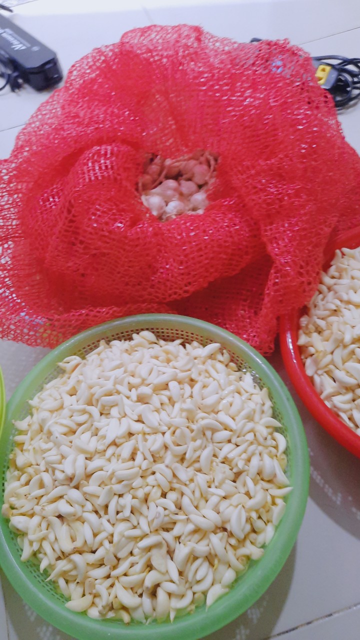 Tỏi LÝ SƠN -1Kg 2 gói Lột Sẳn Lột Khô Thủ Công CHỈ LỘT KHI CÓ ĐƠN